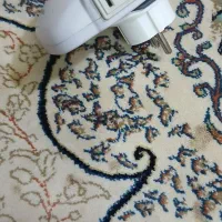 دفع کننده حشرات (آمریکایی)