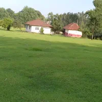 ویلای قدیمساز جنگلی ۱۲هزار متری ، رضوانشهر|فروش زمین و ملک کلنگی|رضوانشهر, |دیوار