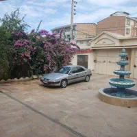 زانتیا جهت معاوظه