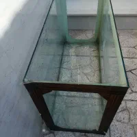 آکواریوم|ماهی|یزد, |دیوار