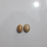 مهره سلطانی تضمینی