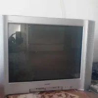 تلویزیون