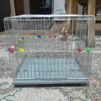 قفس سهره .قناری