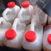 شیره خرما اعلاء بوشهر