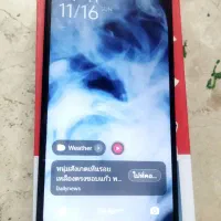 شیامی 14C در حد آک|موبایل|مشهد, عبادی|دیوار