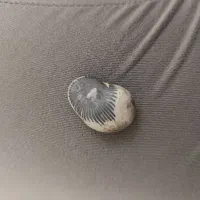 سنگ فوق خاص، شهاب سنگ ، عقیق اصل