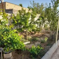 باغ طرف شرکت سابی خیابان پوریا ولی کوچه گلخانه|فروش خانه و ویلا|نجفآباد, جوزدان|دیوار