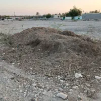 کود حیوانی|خدمات باغبانی و درختکاری|تخت, |دیوار