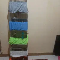 زیره قفس کاور قفس