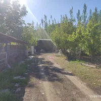 اجاره-دامداری-با-امکانات-کامل