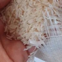 برنج طارم محلی|خوردنی و آشامیدنی|فریدون‌کنار, |دیوار