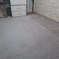 موکت|موکت|همدان, |دیوار
