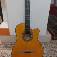 گیتار هافنر آلمان