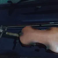 ویالون در حد نو|ویولن|گرگان, |دیوار