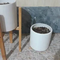 گلدان|گل و گیاه طبیعی|خرمشهر, |دیوار