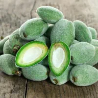 چاقاله بادام اعلا