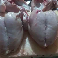 ران و سینه مرغ مخصوص رستوران  مطبخ و شرکت