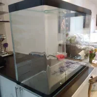آکواریوم شیشه خم شرکتی در حد نو