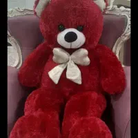 خرس پولیشی بزرگ ونو