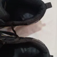 کفش اسپرت|کیف، کفش، کمربند|شهریار, اسدآباد|دیوار