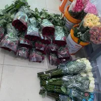 پخش عمده رز هلندی|گل و گیاه طبیعی|شیراز, باغ تخت|دیوار