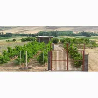 فروش باغ|فروش خانه و ویلا|کنگاور, |دیوار