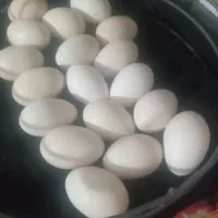 تخم مرغ گلین اصل تازه|خوردنی و آشامیدنی|کهنوج, |دیوار