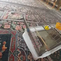 ۳ قفس|لوازم جانبی حیوانات|سرپل ذهاب, |دیوار