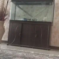 آکواریوم بزرگ بدون خط وخش