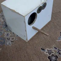 لونه طوطی(راهب برزیلی گرینچیک )|لوازم جانبی حیوانات|تهران, کرمان|دیوار