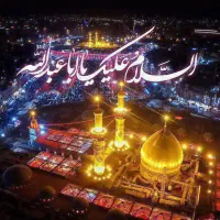 کاروان انصار حسین