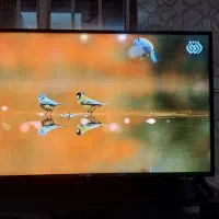 تلویزیون ۴۹اینچ ال جی