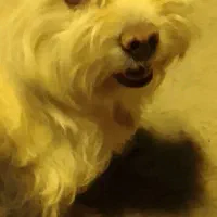 واگذاری غیر رایگان