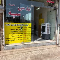 کارگر ساده خانم