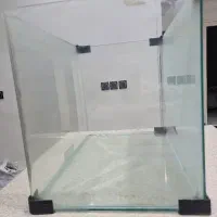 اکواریوم شیشه خم|ماهی|کرج, باغستان|دیوار