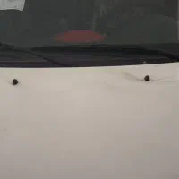 فروش خودرو|خودرو سواری و وانت|بوشهر, |دیوار