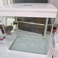 آکواریوم کوچک