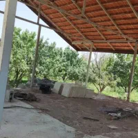 فروش باغ