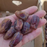 کارگر خانم جهت بسته بندی + سرویس +کارگر اتباع