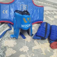 وسایل رزمی وشو