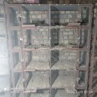 جفت کن آهنی سالم