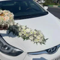 اجاره ماشین|خودرو اجارهای|لاهیجان, گلستان|دیوار