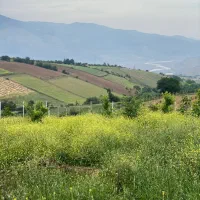 1000متر زمین سند تک برگ خوش قواره دوبر|فروش زمین و ملک کلنگی|توتکابن, |دیوار