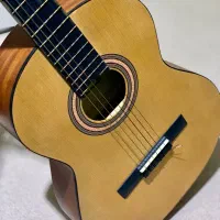 گیتار پارسی m2