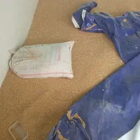 گندم آبی  .ویژه بذر