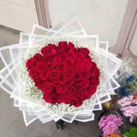 گل رز هلندی قرمز  دسته گل باکس گل فقط شاخه 20 ت|گل و گیاه طبیعی|مشهد, انصار|دیوار