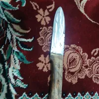 چاقو گوشت|ظروف پختوپز|قم, خداکرم|دیوار