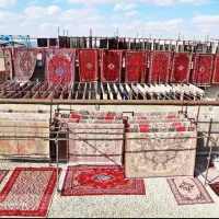 کارخانه قالیشویی درسعادت ابادپونک باغ فیض جنت اباد|خدمات نظافت|تهران, صد دستگاه|دیوار