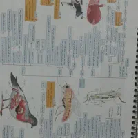 کتاب تست|کتاب و مجله آموزشی|بندر ماهشهر, |دیوار