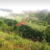 زمین مسکونی